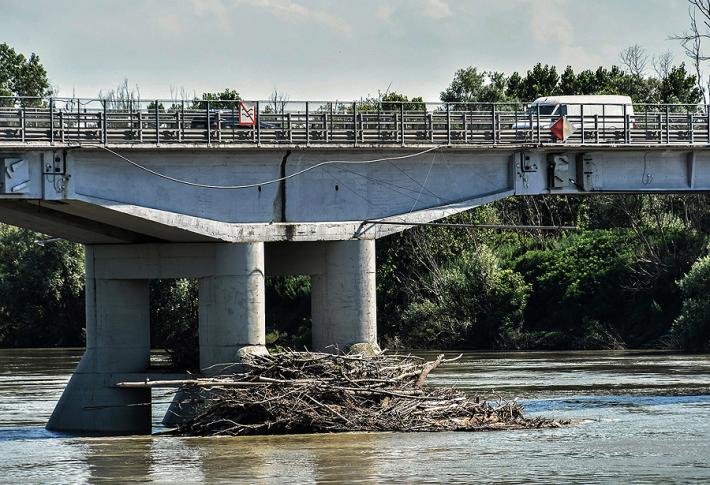 Bassa parmense: Alberi e rami spezzati, serve un'opera di pulizia  sotto i ponti del Po 