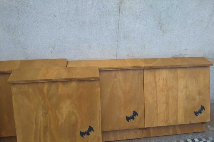  Al via l&rsquo;installazione di 40 casette per pipistrelli