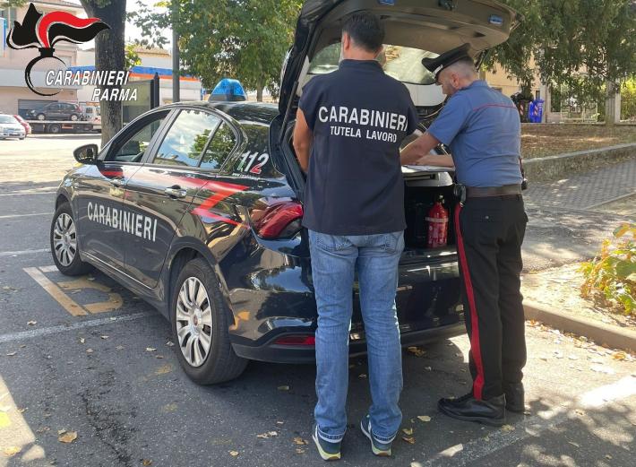 Parma: controlli straordinari nel settore agricolo per il contrasto del lavoro &ldquo;nero&rdquo;. Riscontrate violazioni e comminate sanzioni.