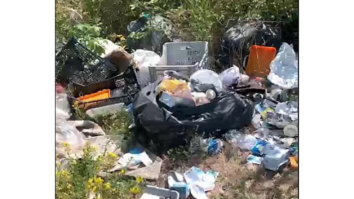 Vigatto, "spunta" una discarica abusiva a cielo aperto - Guarda il video