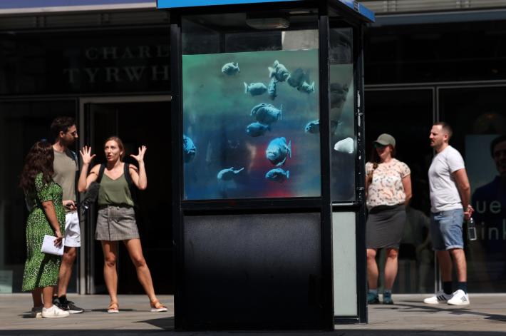 Banksy non si ferma pi&ugrave;, nel London Zoo ecco l'acquario