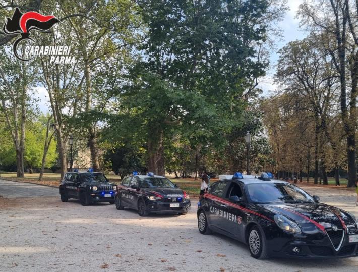 Parma: rinvenuti 270 grammi di hashish al parco ducale grazie al fiuto di taxi.