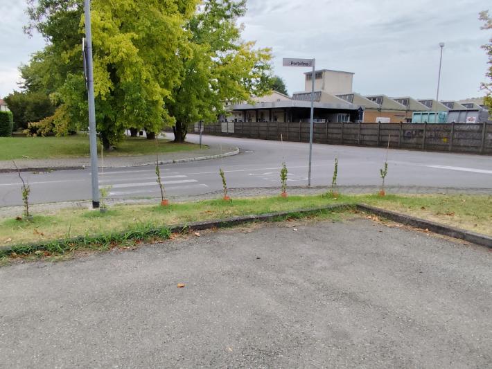 Due cittadini si propongono per la cura di due aree verdi: e il Comune stringe il patto