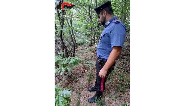 Borgo Val di Taro: cerca tartufi nel bosco, invece trova un teschio umano.