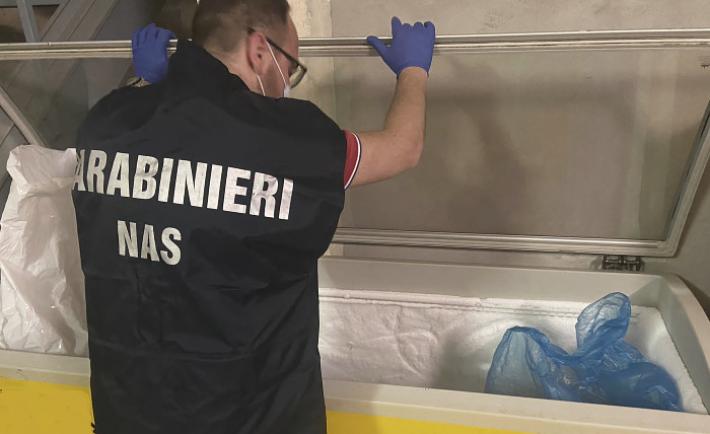 Sporco vecchio, insetti in cucina e alimenti irregolari: multa dei Nas e attivit&agrave; sospesa per un ristorante a Parma