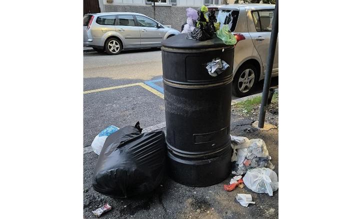 Immondizia in viale Gorizia