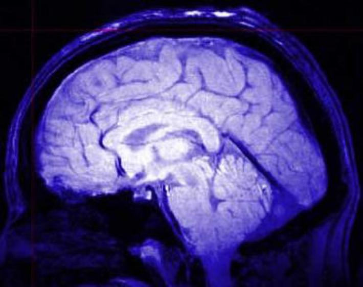 Invecchiamento mentale: test gratuiti con le psicologhe