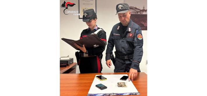 Colorno: trovato all&rsquo;interno della reggia con una &ldquo;panetta&rdquo; di hashish&rdquo; arrestato 38enne straniero