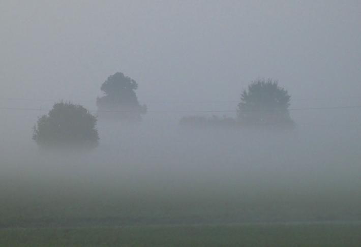 Furgone in panne nella nebbia fitta a Fontanelle e rischio incidenti