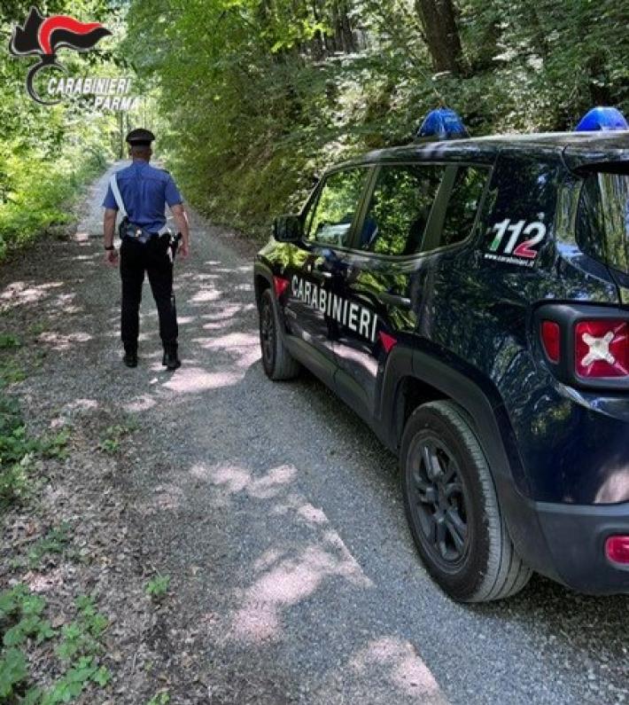 Fungaiolo 68enne si perde nei boschi fra Borgotaro e Albareto: scattano i soccorsi, ritrovato in serata 