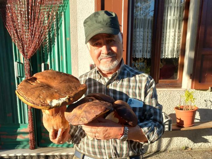 Il maxi-porcino e... i suoi fratelli