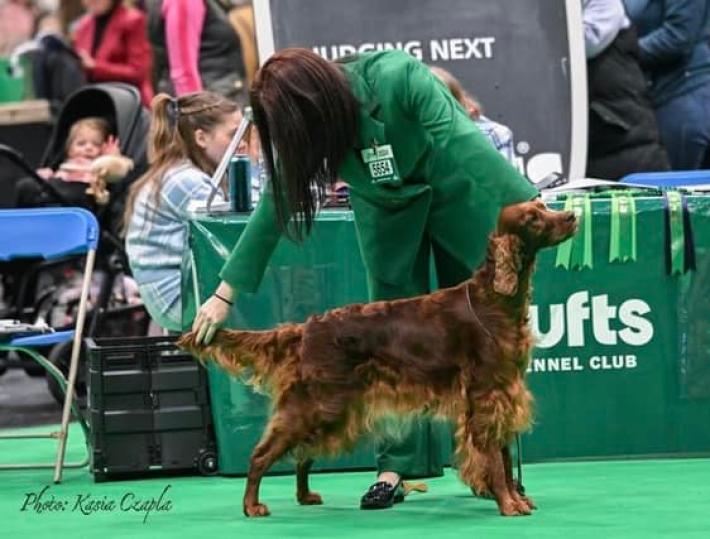 European Dog Show, in gara 15mila cani. Italia in prima fila