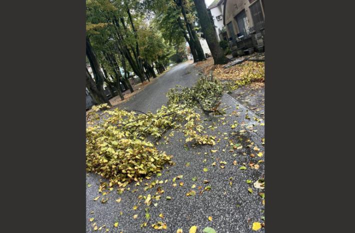 Disagi per il maltempo nella Bassa