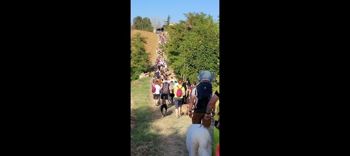 Camminata della malvasia