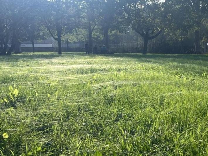 Ragnatele chimiche a San Secondo