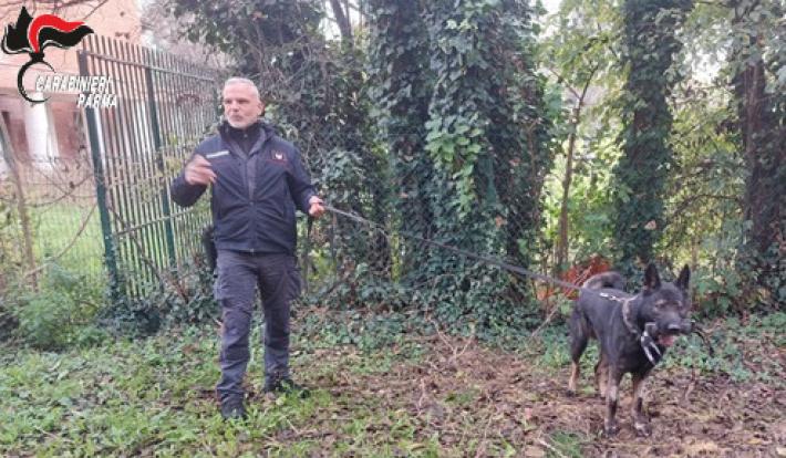 Carabinieri nelle scuole con le unit&agrave; cinofile per controlli e prevenzione