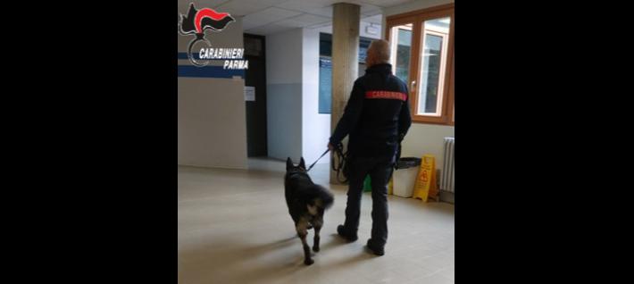 Identificato il presunto autore di una rapina commessa in danno di un minorenne nei pressi di un istituto scolastico: indagato un 17enne