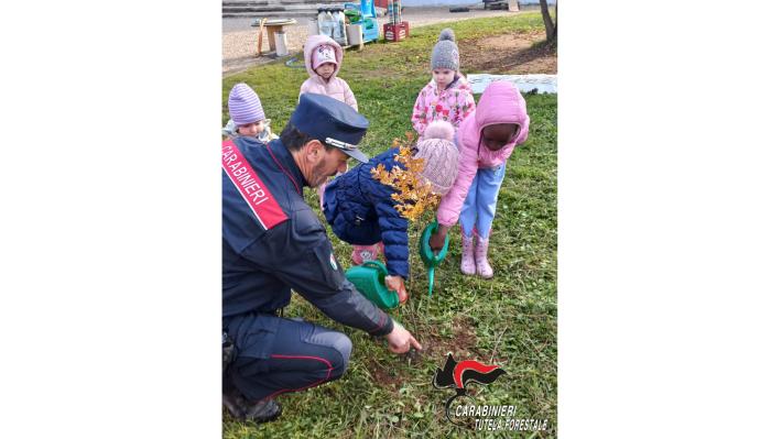 21 novembre Giornata Nazionale degli Alberi