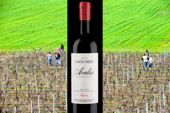 Santa Tresa Sicilia  Nero d&rsquo;Avola Avulisi  Riserva 2018