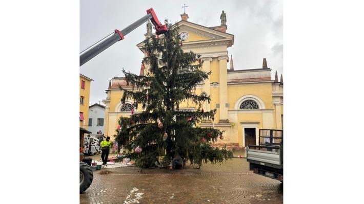 Albero di natale san secondo