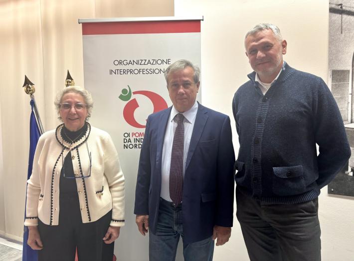 Giuseppe Romanini &egrave; il nuovo Presidente dell'OI Pomodoro da Industria Nord Italia