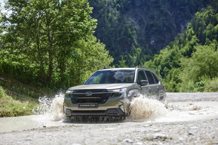 Forester, la certezza