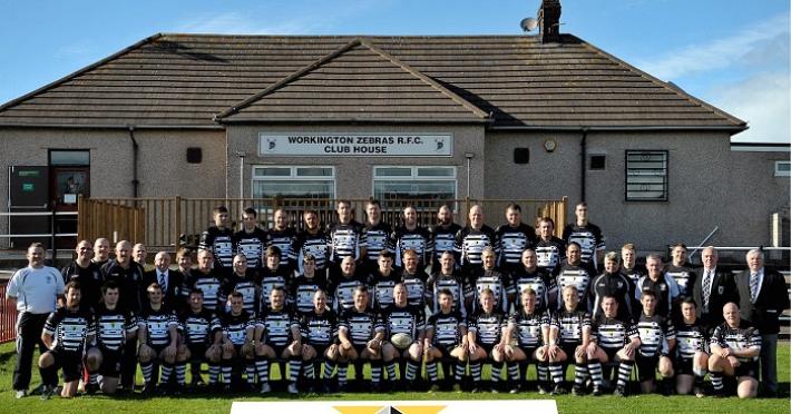 Zebre, in Europa sono anche in Inghilterra