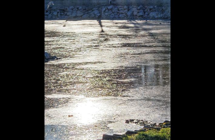 Parco Ducale, lo spettacolo del lago ghiacciato in una giornata di sole