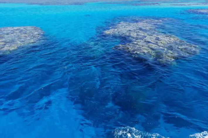 Due turisti italiani attaccati da uno squalo nel Mar Rosso: morto un 48enne di Roma, ferito un 69enne di Cremona