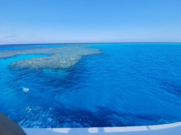 Tornato a casa a Soncino l'italiano ferito dallo squalo a Marsa Alam