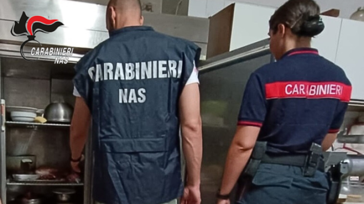 Comunicato stampa sequestro carne di cinghiale - provincia Reggio Emilia