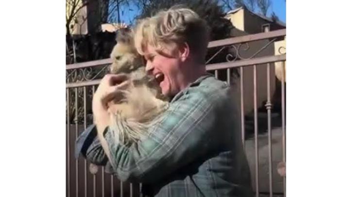 Quando l&rsquo;emergenza chiama: i pets in situazioni critiche  