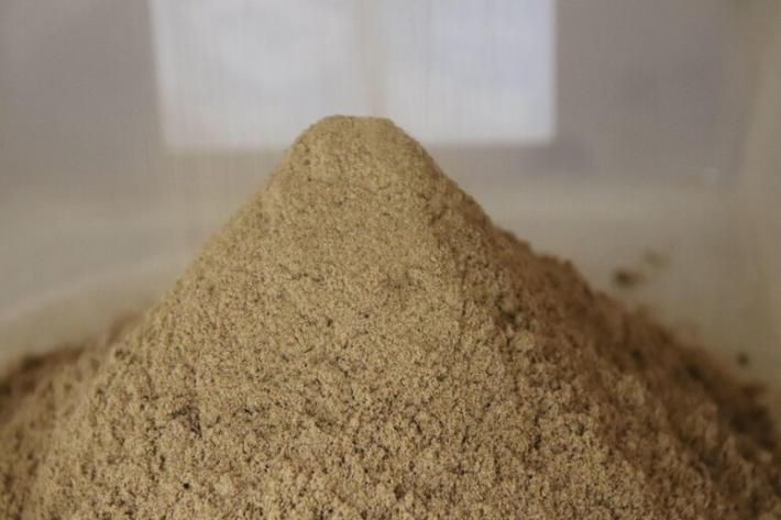 L'Ue autorizza l'uso della farina di larve trattata 