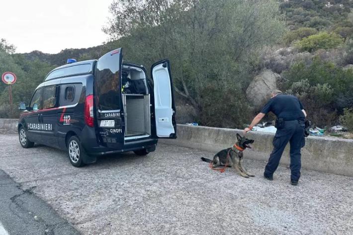 Ereditiera scomparsa, le ossa ritrovate sono di un grosso animale