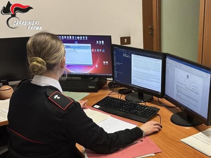 Truffa del pellet, acquirente raggirato perde 504 euro in un acquisto online. una persona denunciata dai carabinieri.