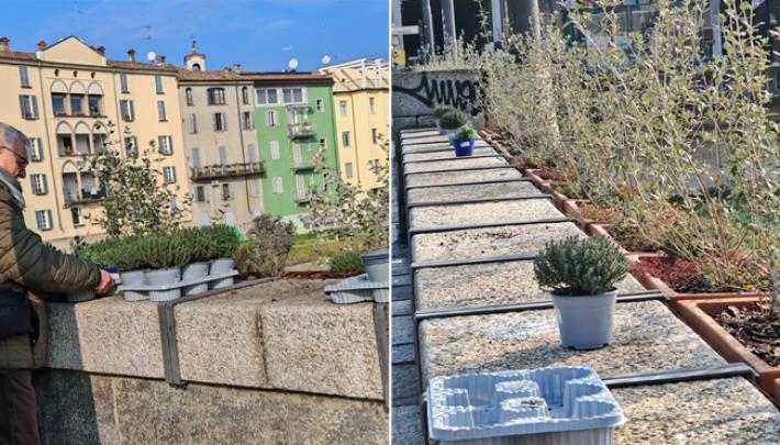 Aria di primavera sul ponte Di Mezzo