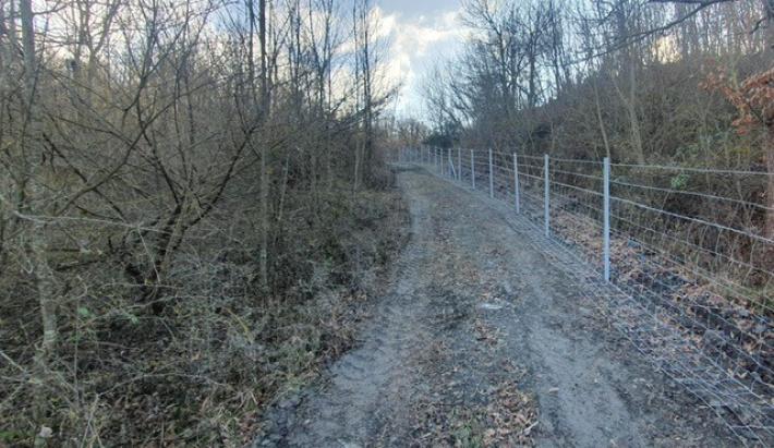 Nuove recinzioni lungo la A15 Parma - La Spezia  per contenere gli spostamenti dei cinghiali