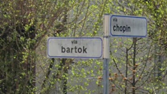 Tamponamento a Busseto: un ferito al pronto soccorso