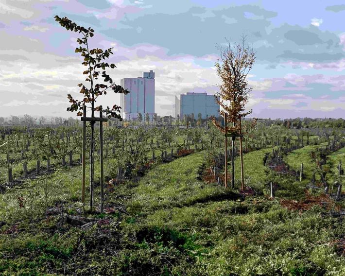 "Il panettone" e tutte le sue sfumature, evento e progetto di Agugiaro & Figna