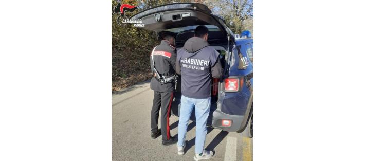 Borgo val di Taro: controlli in materia di sicurezza sui luoghi di lavoro in zona appenninica. Riscontrate violazioni e comminate sanzioni