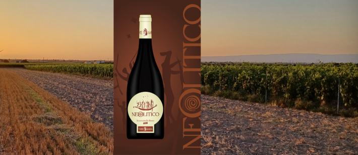 Un rosso complesso dalla buona struttura e dal sorso ampio