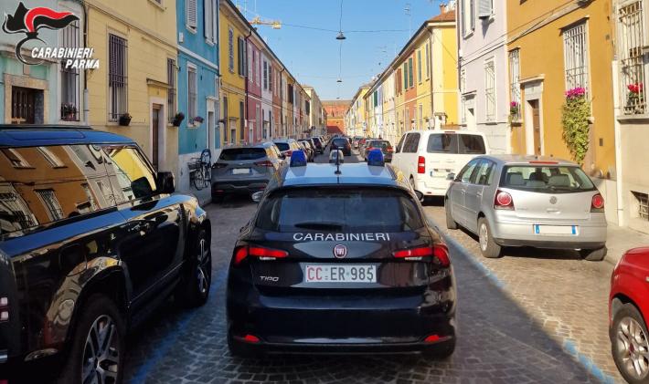 E&rsquo; stato identificato dai carabinieri il 25enne straniero specialista del furto di parti di automobili di lusso.