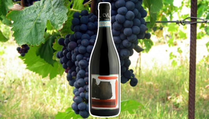 Cascina Val Liberata Cenerina 2021: un rosso naturale, al naso bosco e fiori austero al sorso