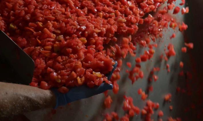 Rodolfi Mansueto, ancora investimenti in comunicazione tv: previsti passaggi ad "Affari tuoi" 