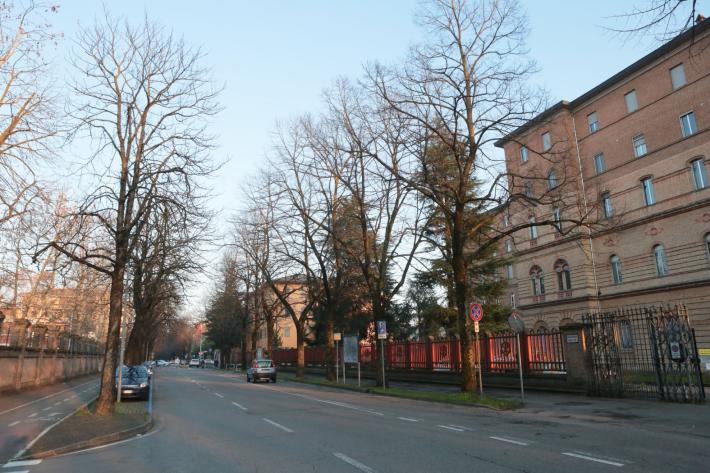 Bicicletta travolta da un camion in viale San Martino: un ferito 