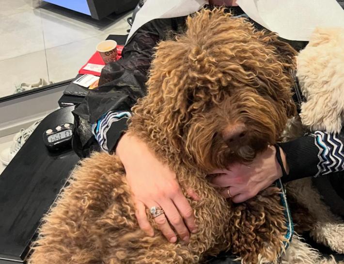 Pepe si &egrave; smarrito a Coloreto