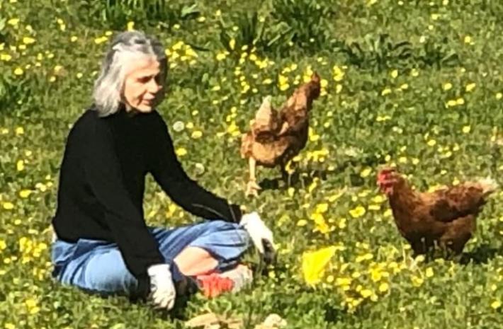 Monica Bobba &laquo;Le  galline? Le curo come delle bambine&raquo;