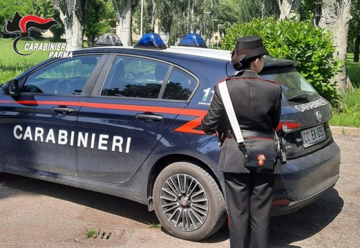 Parma: controlli dei carabinieri al parco &ldquo;Falcone e Borsellino&rdquo; - Lancia una manciata di dosi di crack nell&rsquo;erba e tenta la fuga. arrestato 33enne straniero.