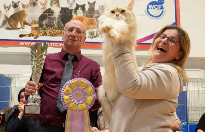 E' di Serravalle il gatto campione del mondo