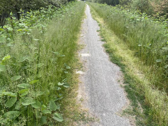 Pista Ciclabile Parma - Baganzola